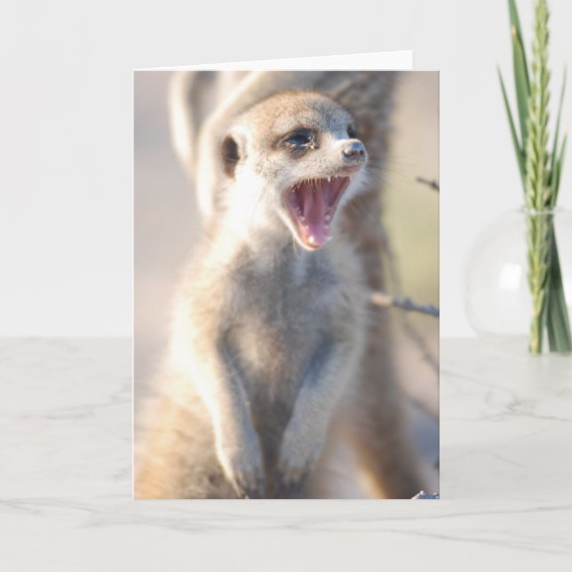 KMP Card 18 - Yawning Nugget (Front)