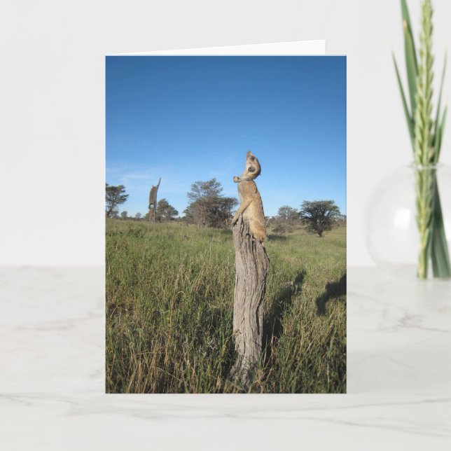 KMP Card 2 - Monkulus (Front)