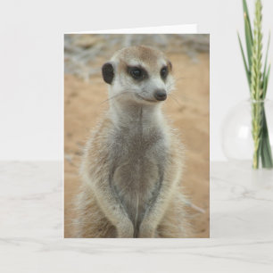 KMP Card 3 - Hemulen Moomins