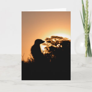 KMP Card 5 - Flava Flav sunset