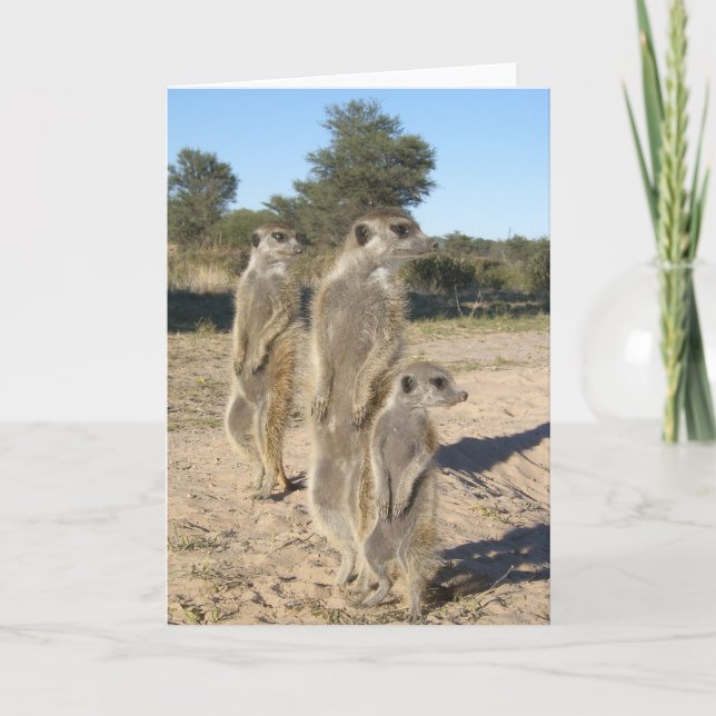 KMP Card 7 - Aztecs (Front)