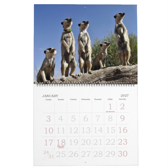 KMP Meerkats 2013 Calendar (Jan 2027)