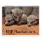 KMP Meerkats 2013 Calendar