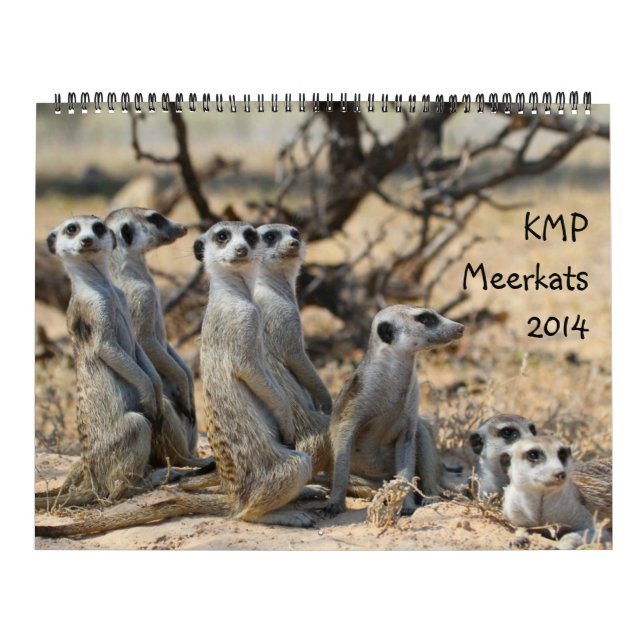 KMP Meerkats - 2014 Calendar (Cover)