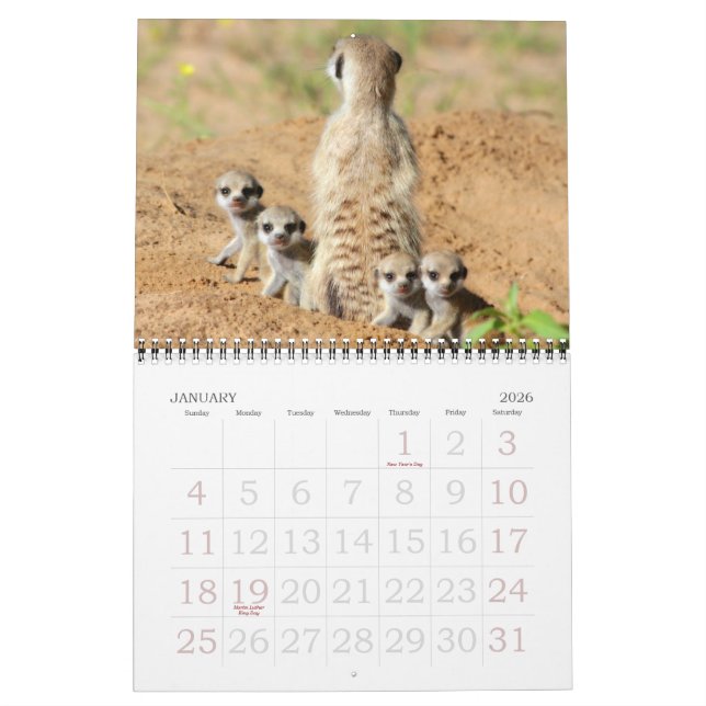 KMP Meerkats - 2015 Calendar (Jan 2026)