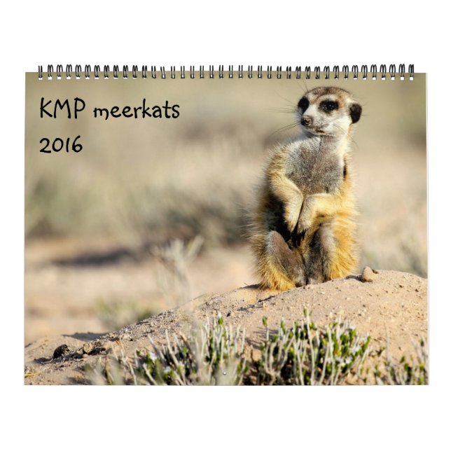 KMP Meerkats - 2016 Calendar (Cover)