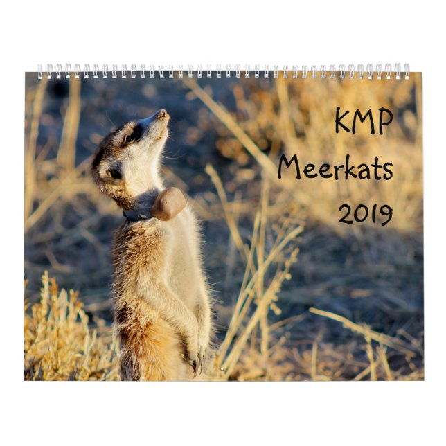 KMP meerkats - 2019 calendar (Cover)