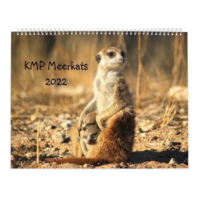 KMP Meerkats 2022 Calendar (Cover)