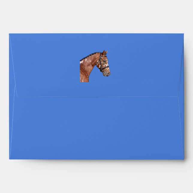 Knabstrupper Stallion Blue Envelope (Back (Top Flap))
