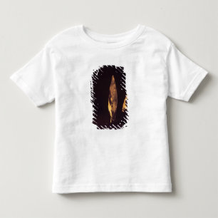 Knapped axe or spear head toddler T-Shirt