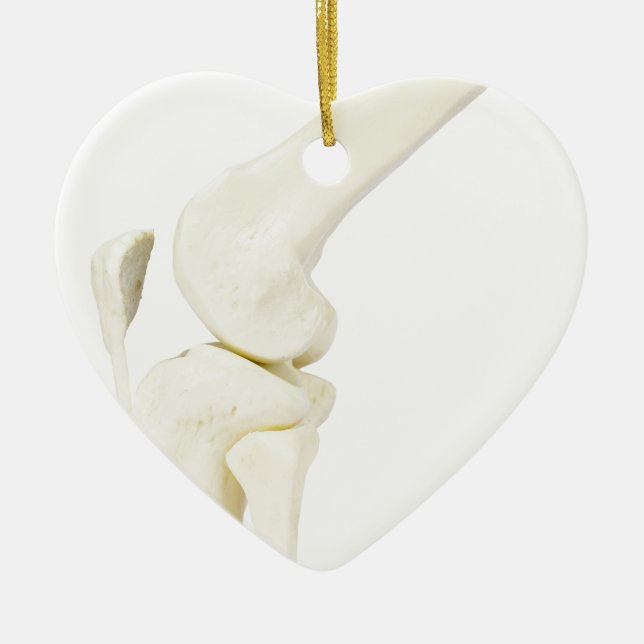 Knee joint model of human leg ceramic ornament (Front)