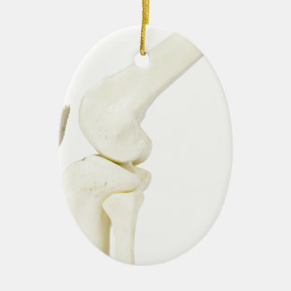 Knee joint model of human leg ceramic ornament