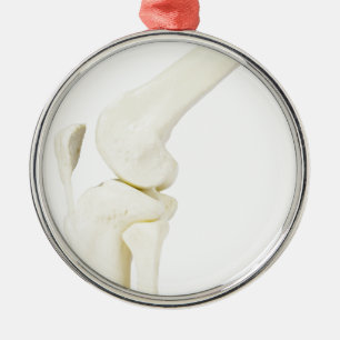 Knee joint model of human leg metal ornament