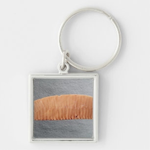 Knife blade key ring