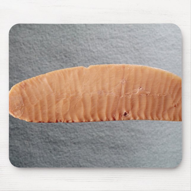 Knife blade mouse pad (Front)