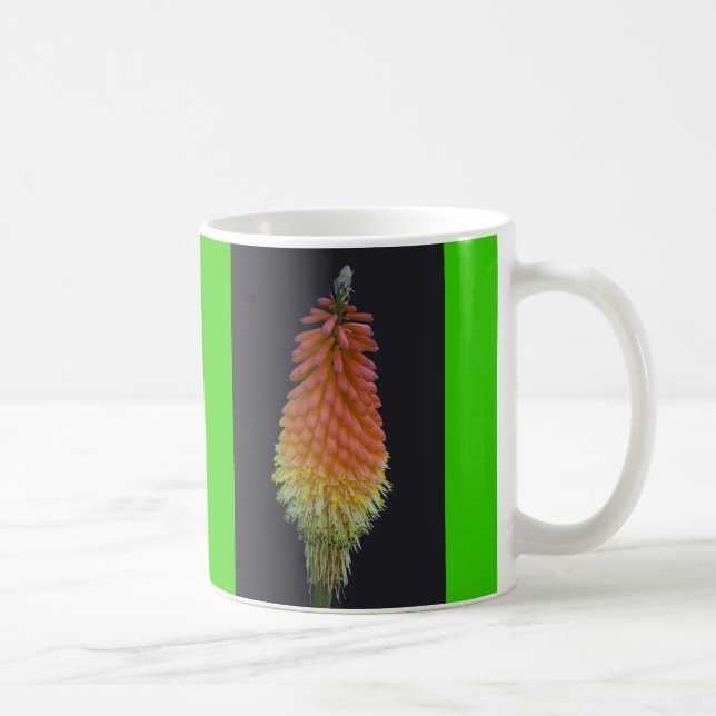 Kniphophia # 219 coffee mug (Right)