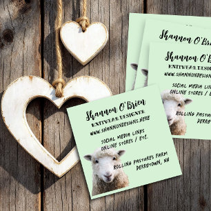 Knitting Fibre Arts Sheep Wool Seller Square Business Card