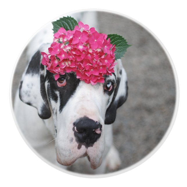 Knob with Great Dane (Front)