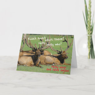 Knock Knock Holly-days - Card
