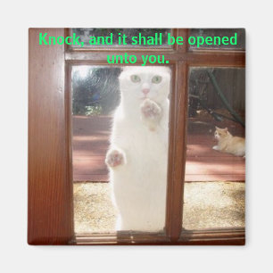 Knock, knock. magnet