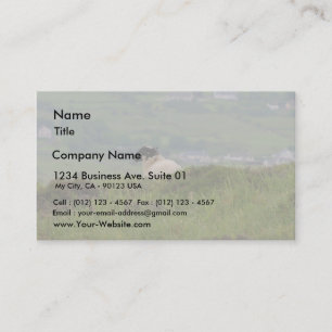 Knocknara Ireland Sheep Lambs Business Card