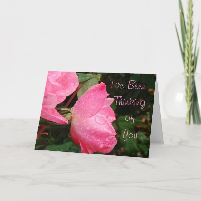 Knockout Roses Thinking of You or any occasion Card (Front)