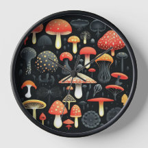 Knolling mushrooms in black blackground