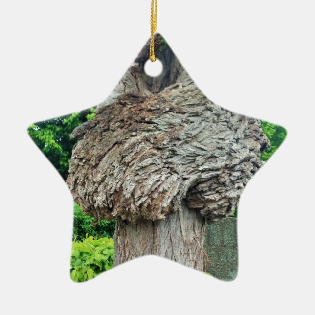 Knot on Tree Trunk, Knar, Nature Green Ceramic Tree Decoration (Front)