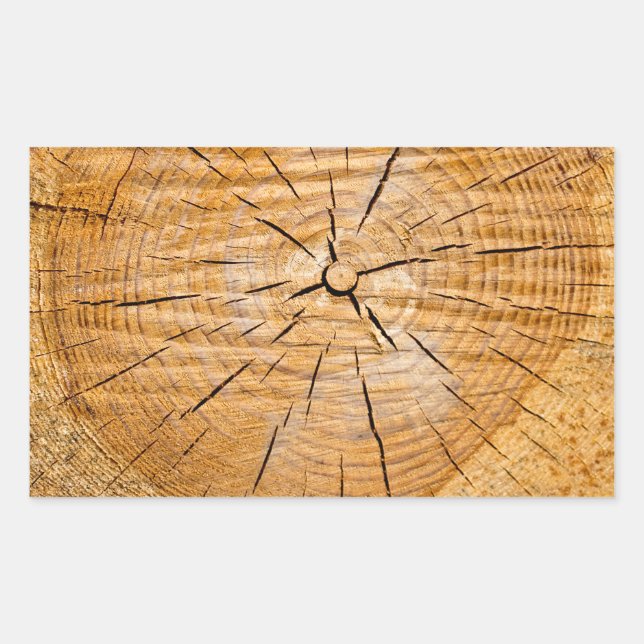 Knotty Wood Slice of Life Rectangular Sticker (Front)