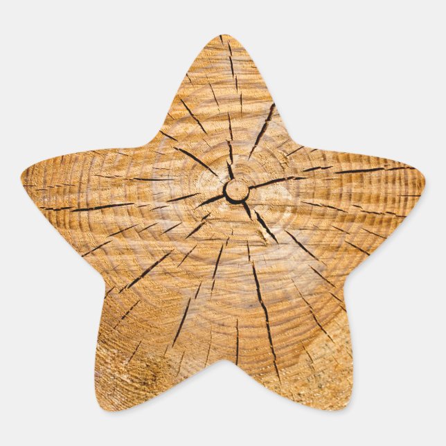 Knotty Wood Slice of Life Star Sticker (Front)