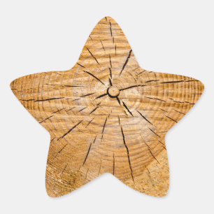 Knotty Wood Slice of Life Star Sticker