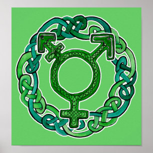 Knotwork Transgender Symbol Poster