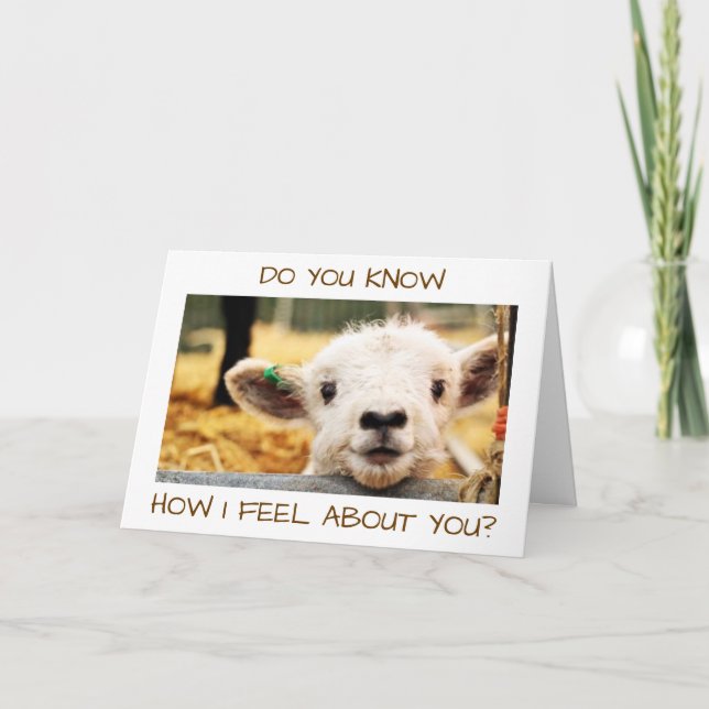 KNOW HOW I FEEL ABOUT YOU? "I LOVE YOU" SAYS LAMB HOLIDAY CARD (Front)