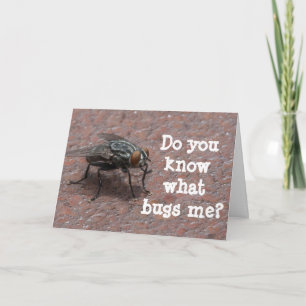 KNOW WHAT "BUGS ME" SAYS THE BUG CARD