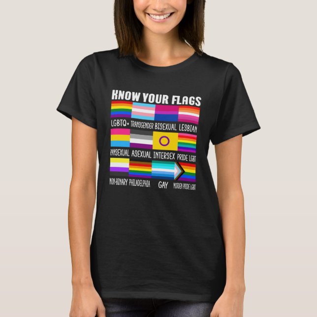 Know Your Flags LGBTQ+ Gay Pride Flag Transgender  T-Shirt (Front)