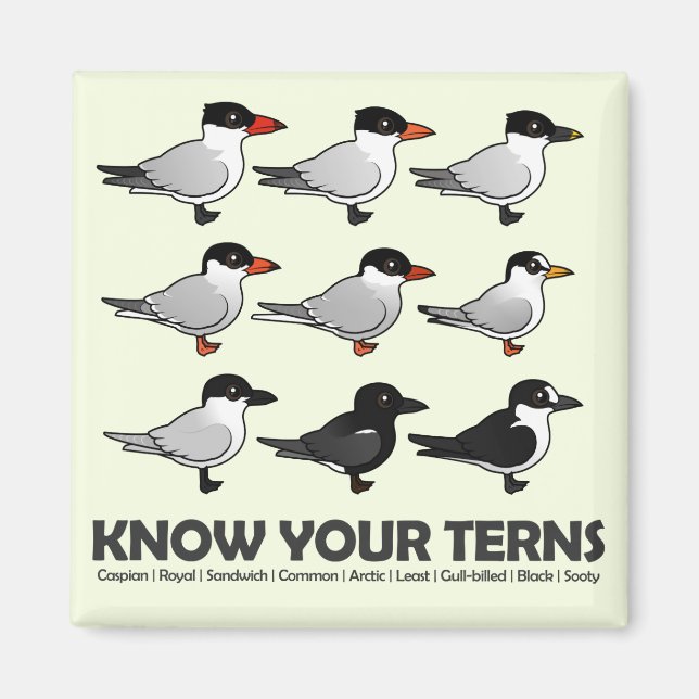 Know Your Terns Magnet (Front)