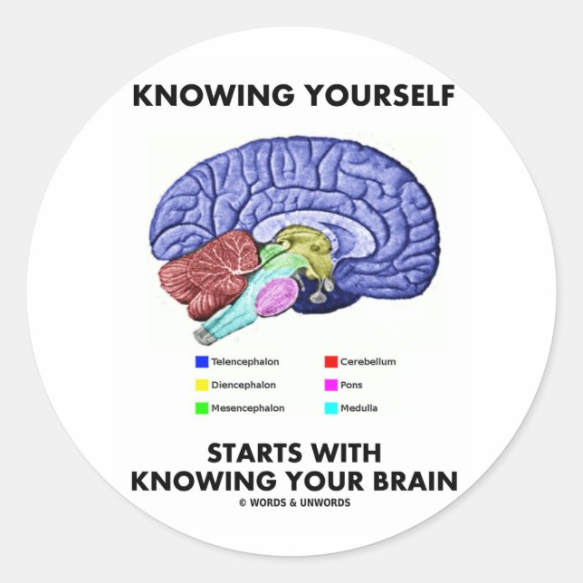 Knowing Yourself Starts With Knowing Your Brain Classic Round Sticker (Front)