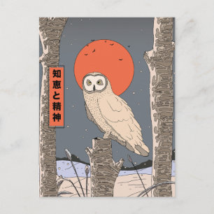 Knowledge and Wisdom Postcard