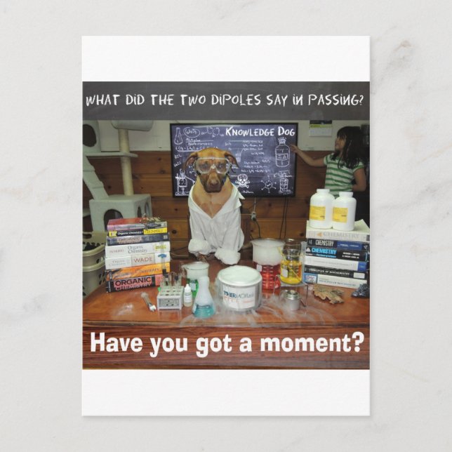 Knowledge Dog Dipole Moment Postcard (Front)