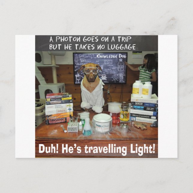 Knowledge Dog Photon Travelling Light Postcard (Front)
