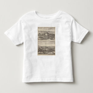 Knox, Stone residences Toddler T-Shirt