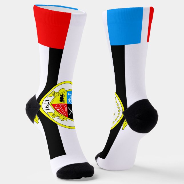 Knoxville (Tennessee) city flag Socks (Angled)