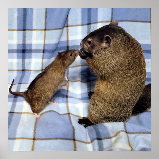 Koa and Caleb Poster (Front)