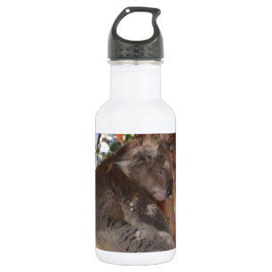 Koala 532 Ml Water Bottle