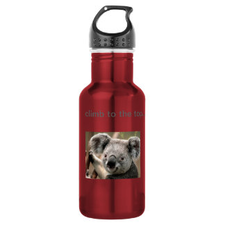 Koala 532 Ml Water Bottle