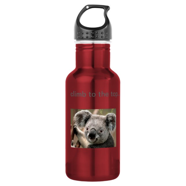 Koala 532 Ml Water Bottle (Front)