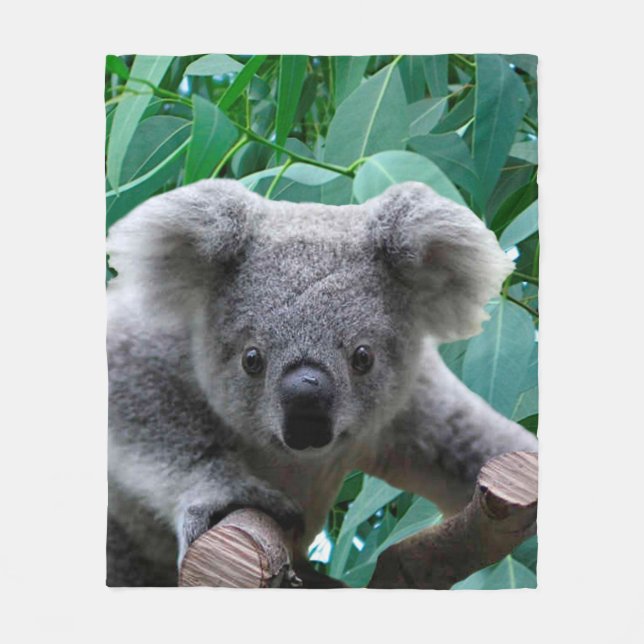 Koala and Eucalyptus Fleece Blanket (Front)