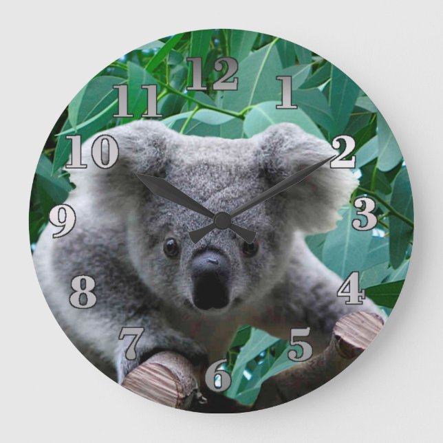 Koala and Eucalyptus Large Clock (Front)