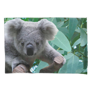 Koala and Eucalyptus Pillowcase