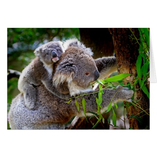 Koala and Joey Mothers Day Card